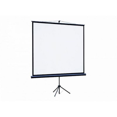 Проекционный экран 115" Lumien Eco View (LEV-100112)