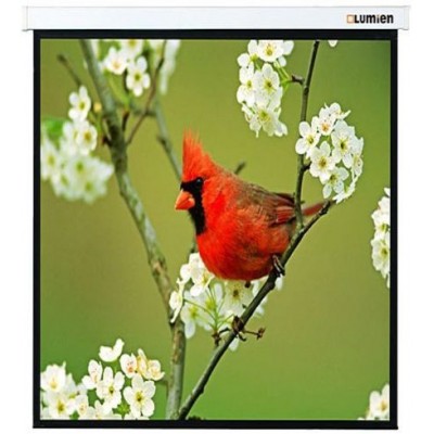 Проекционный экран 119" Lumien Master Picture (LMP-100129)
