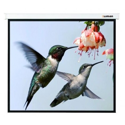 Проекционный экран 123" Lumien Master Picture (LMP-100117)