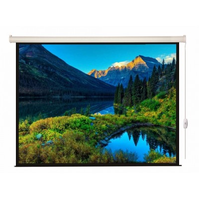 Проекционный экран 116" Lumien Eco Control (LEC-100107)