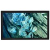 Проекционный экран 110